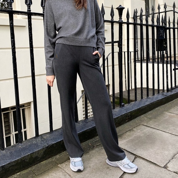 Aritzia Pants - Aritzia Babaton Ivy Pant